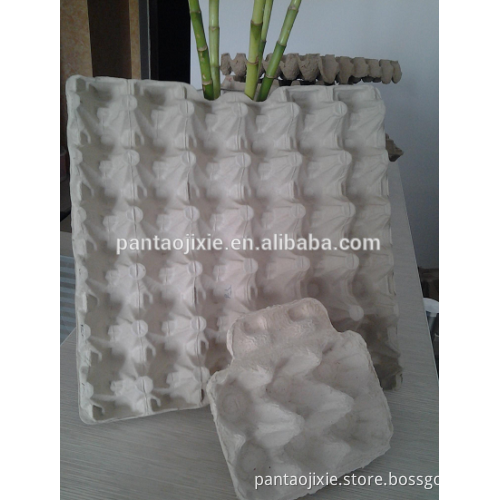 Egg tray mold in Algeria